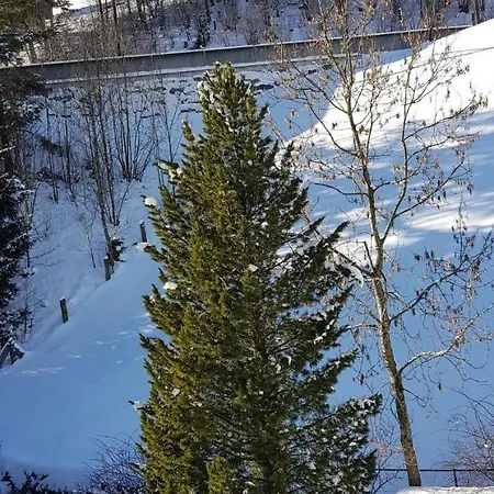 Hotel Alpenhof 3* 英格堡