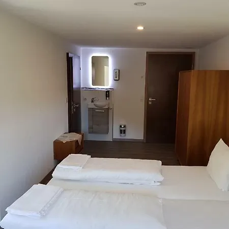 Hotel Alpenhof 3* 英格堡